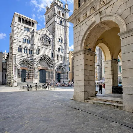 Le Erbe Tra Locali E Universitaria Genova